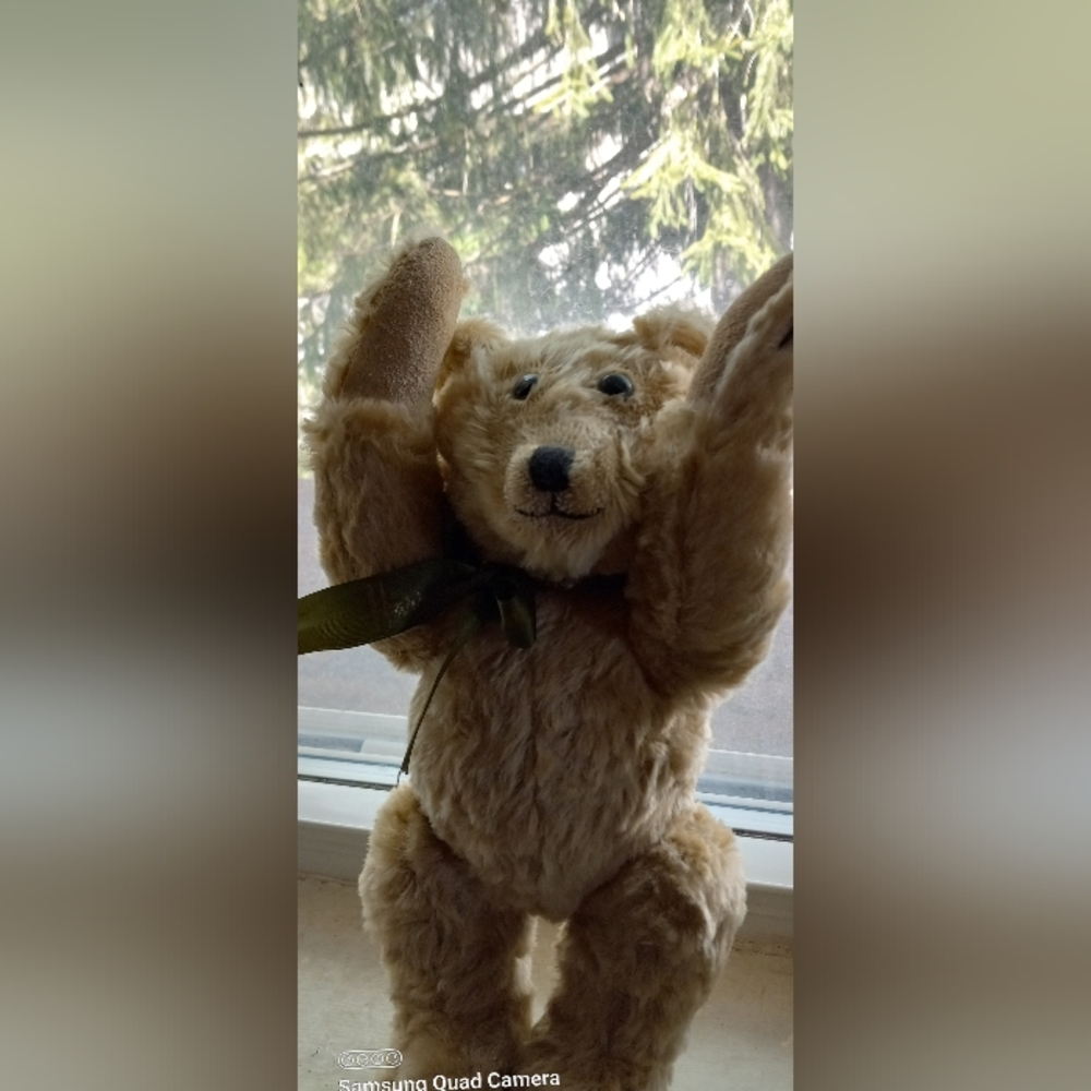 Mohair Teddy Harrods